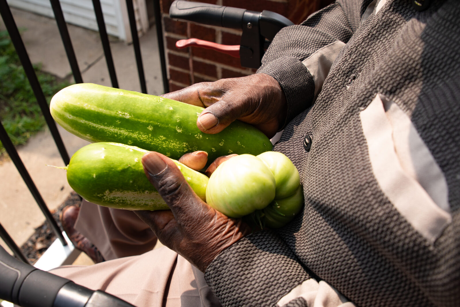 An elder's hands holding cucumbers and tomatoes from the garden